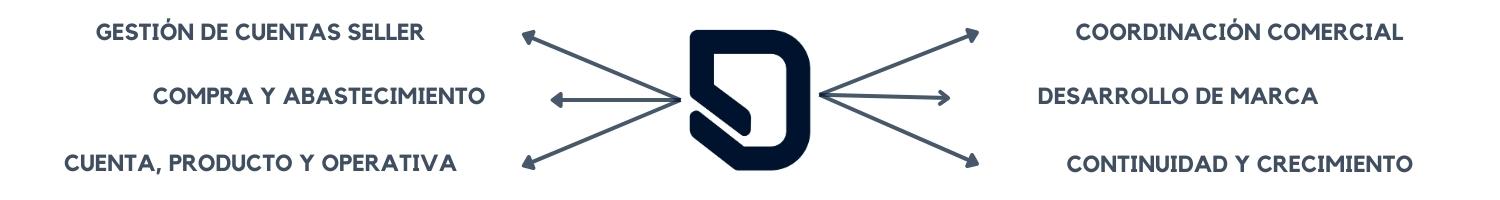 gestion_integral_cuenta_amazon_seller_datvest